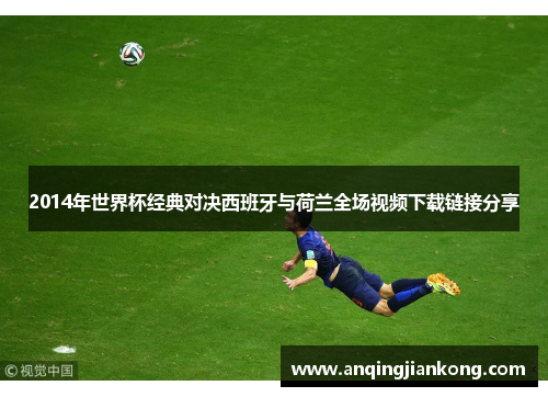 2014年世界杯经典对决西班牙与荷兰全场视频下载链接分享